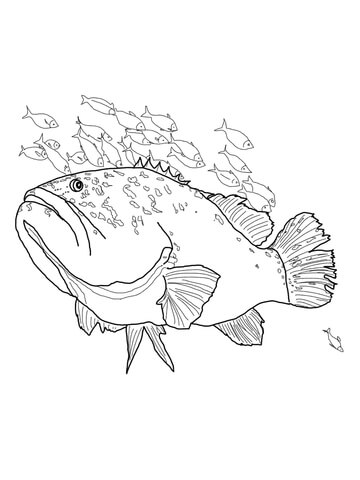 Giant Grouper Coloring Page